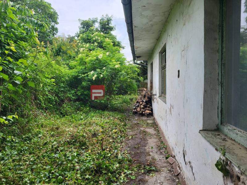 Telek a Holubyho utcában, Pozsonyban, növényzettel benőtt, mellette egy épülettel.