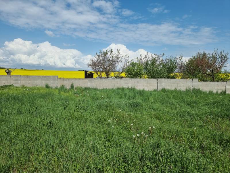 Zöld telek fallal körülvéve, kilátással a sárga mezőre Cabaj-Čáporban. Lakóingatlanok.