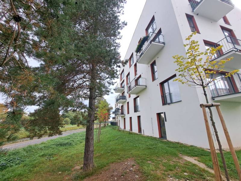 Lakóház a Jilemnického utcában, Svitben, zöldterület és fák mellett.