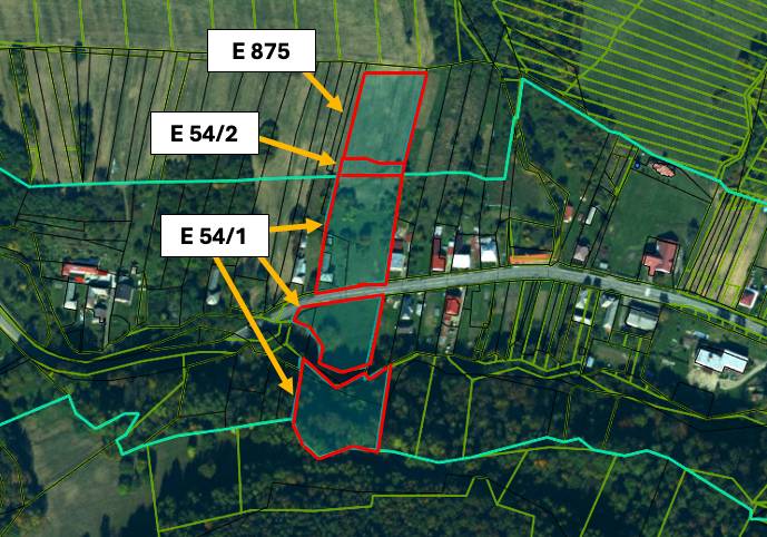 Ladomirova kataszteri területének térképe, amely mezőgazdasági és erdészeti területeket ábrázol az E 875, E 54/2, E 54/1 parcellákkal.