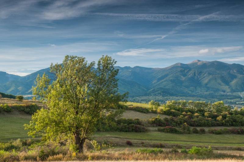 Mezőgazdasági és erdészeti területek Sučany közelében, hegyek panorámájával és egy fával az előtérben.