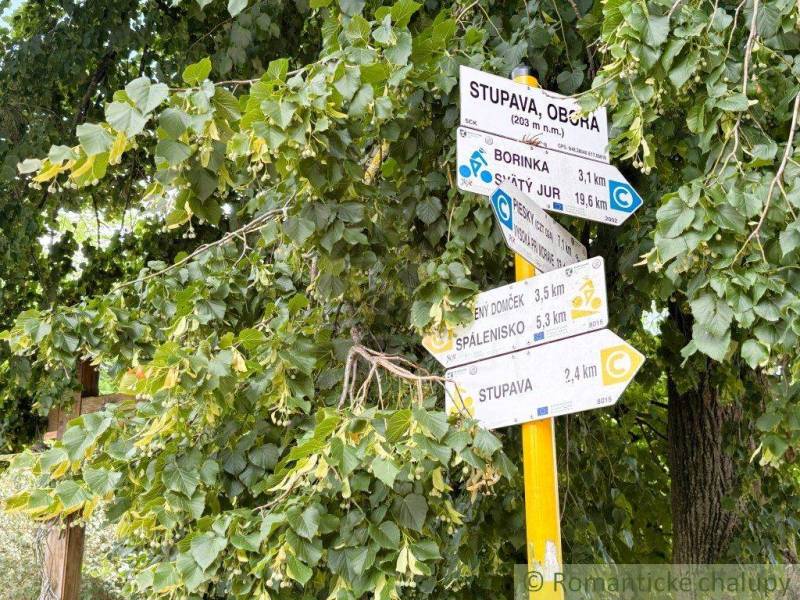 Turisztikai útjelző táblák levelekkel körülvéve a Malackai Kertekben, amelyek a turistautakat mutatják.