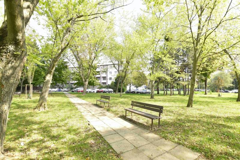 Pozsony - Ružinov park, Smolnícka, fákok, padok és járda, pihenés hangulata.