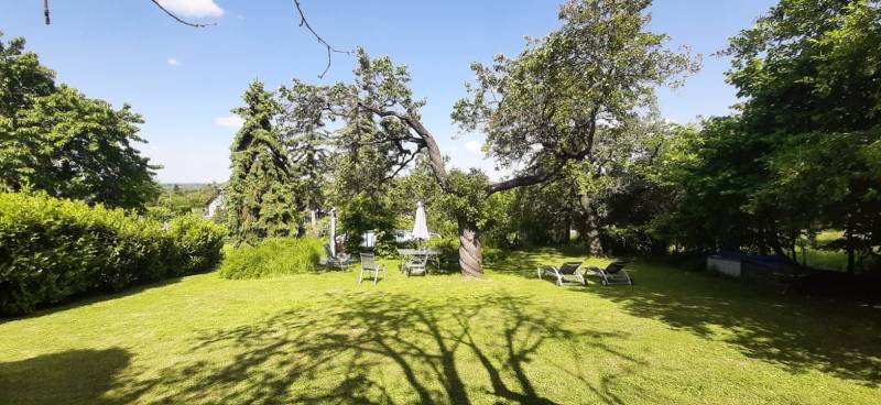 Egy villa kertje Hainburg an der Donau-ban gyepfelülettel, fákkal és kerti ülőhellyel.