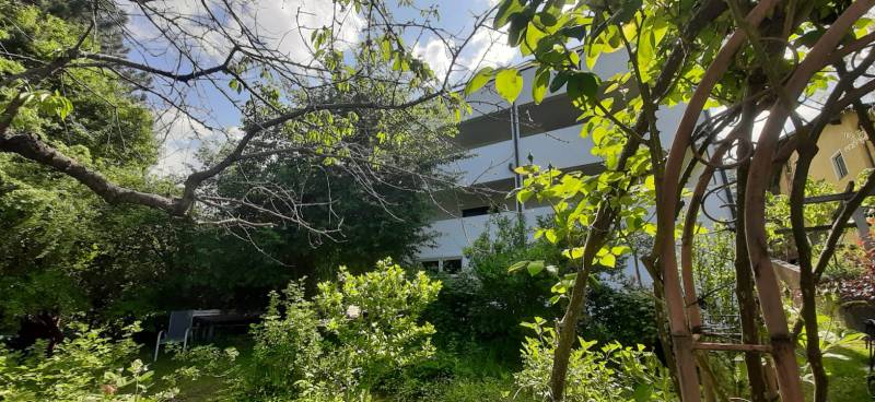 Villa Hainburg an der Donau-ban, zölddel és fákkal körülvéve, kék ég alatt.
