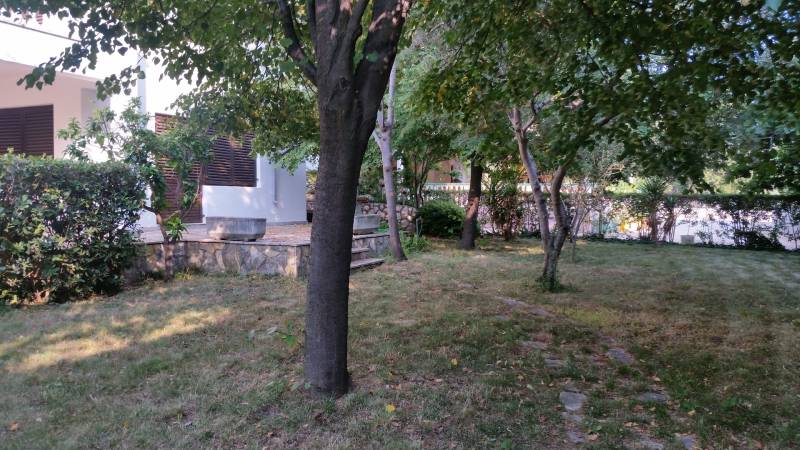 Kert pázsittal és fákkal egy családi ház mellett Vrsie-ban, zölddel és bokrokkal körülvéve.