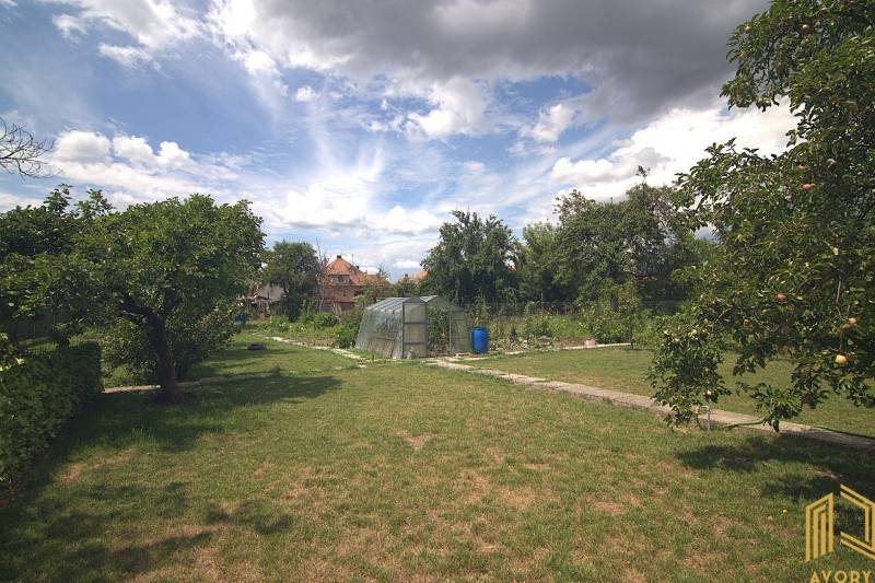 Családi ház kertje a Brodszkó-i Sport utcában fóliasátorral és gyümölcsfákkal.