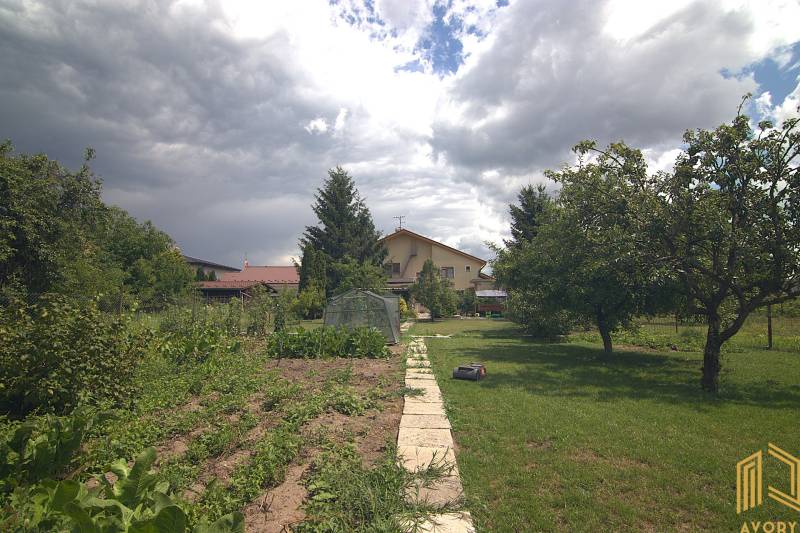 Kert a családi ház mellett a Sport utcában, Brodsko-ban, rendezéssel és zöldterülettel.