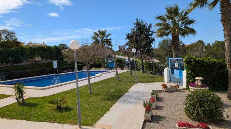 Medence pálmafákkal és zölddel az Aquiles utca környékén, Torrevieja.