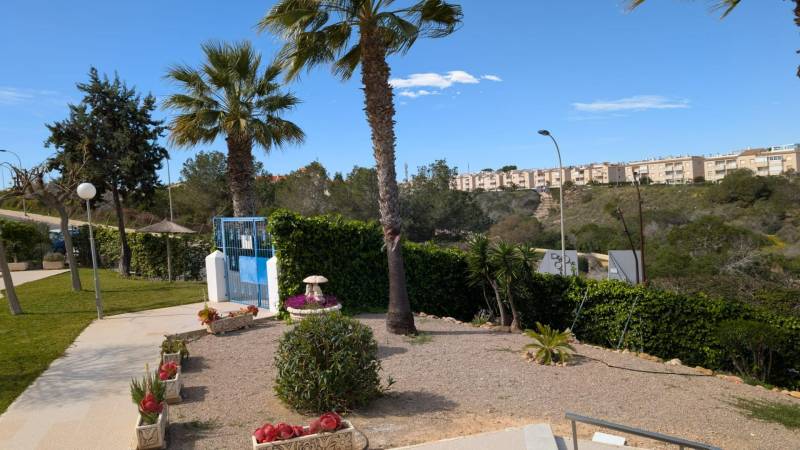 Park pálmafákkal és zöldterülettel Torreviejában, az Aquiles utcában, garzonlakás.