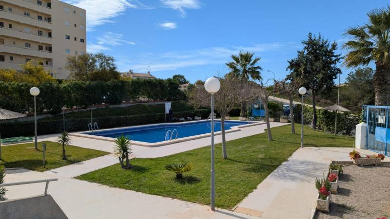 Medencével, pálmafákkal és zöldterülettel az Aquiles utcában, Torreviejában, garzonlakás lakói számára alkalmas.