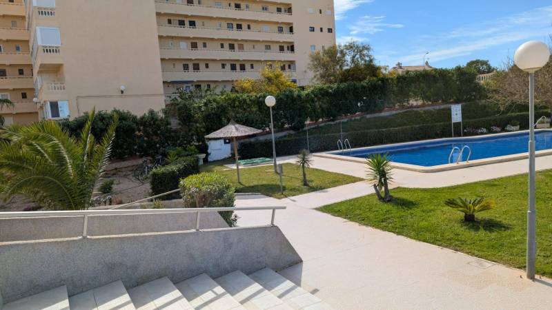 Medence és kert az apartmankomplexum előtt a cl. Aquiles utcában, Torreviejában.