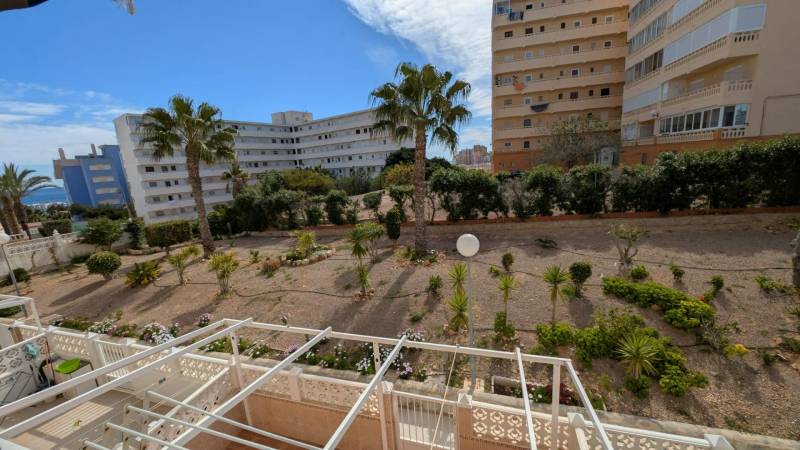Kilátás egy garzonlakásból a torreviejai Aquiles utcán pálmafákkal és épületekkel.
