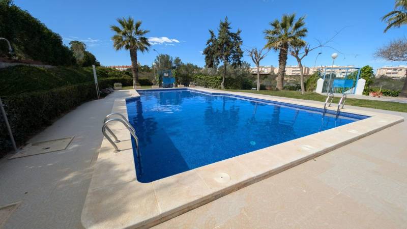 A Torreviejában, a cl. Aquiles utcában található, pálmafákkal körülvett medence kellemes felfrissülést kínál.