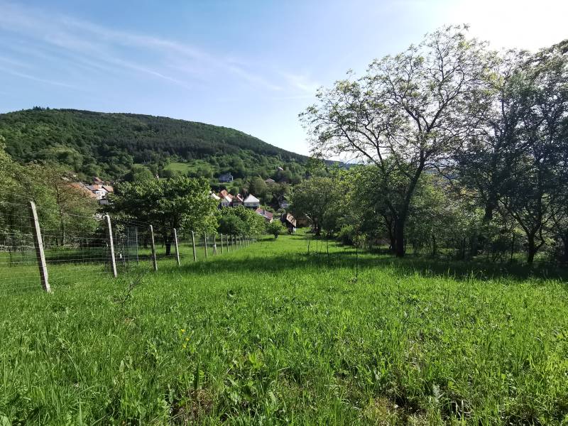 A Nyitraszécsényben található családi ház kilátást nyújt a természetre és a dombos háttérre.