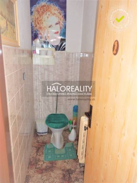 Fürdőszoba családi házban WC-vel és zöld ülőkével.