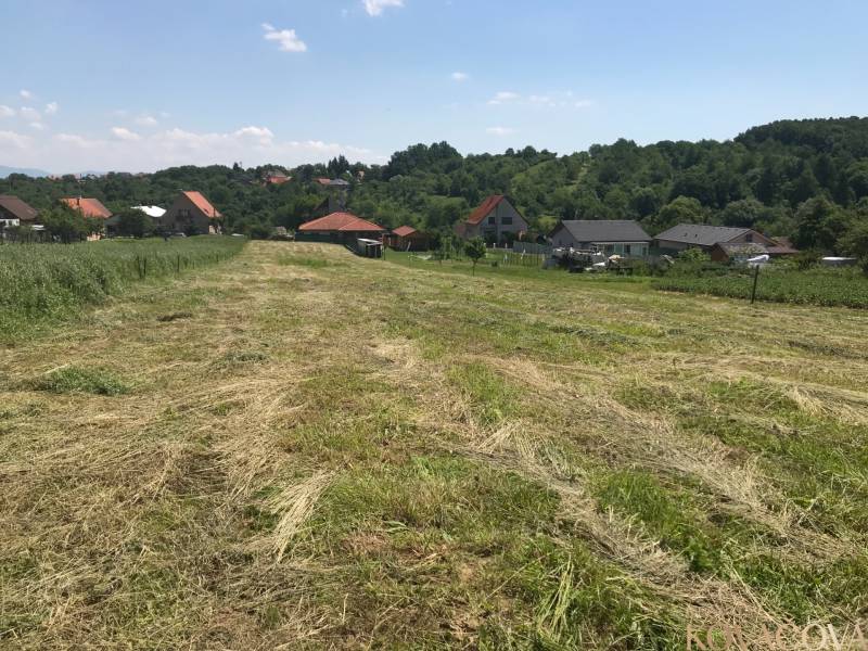 Telkek - lakóövezet Trenčianske Jastrabéban, kaszált rét házakkal és zölddel körülvéve.