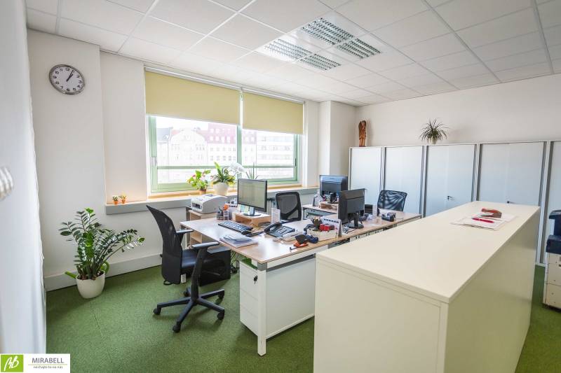 Irodák íróasztalokkal, számítógépekkel és növényekkel, felszerelés a kényelmes munkavégzéshez.