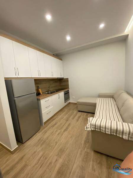 Rekreációs apartman konyhával, hűtőszekrénnyel és kényelmes kanapéval a fa padlón.