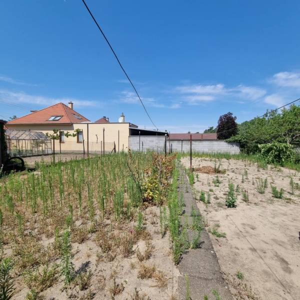 Kert a családi ház mögött a Písniky utcában, Malackán, buja növényzettel és kerítéssel.