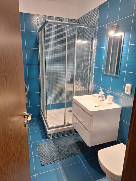 Kék csempékkel és zuhanyzóval ellátott fürdőszoba egy kétszobás lakásban.