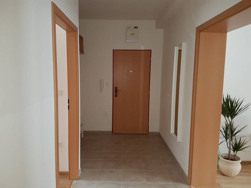 Előszoba szobai ajtókkal és növénnyel egy kétszobás lakásban.