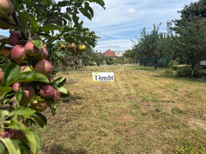 Gyümölcsfák a telkeken - lakóhelyek Aranyosmaróton, kilátással a házra.