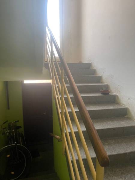 Családi ház lépcsője kerékpárokkal és növénnyel a párkányon.