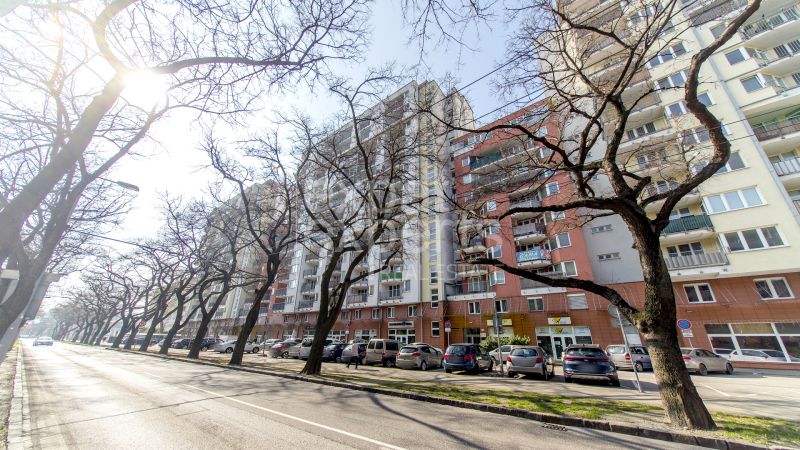 Pozsonyban, a Jégeho utcában láthatóak lakóházak és parkoló autók.