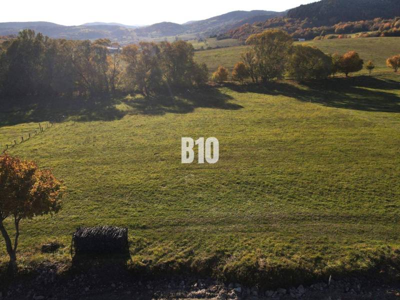 Egy Petrovice-i telek buja természettel körülvéve, ideális lakhatásra.