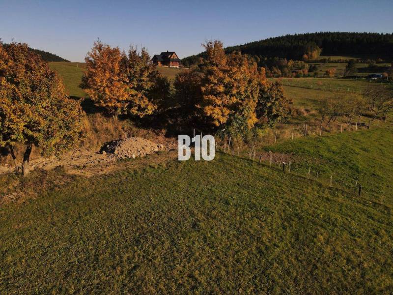 Telek Petrovicén lakhatásra, fákkal körülvéve őszi színekben.