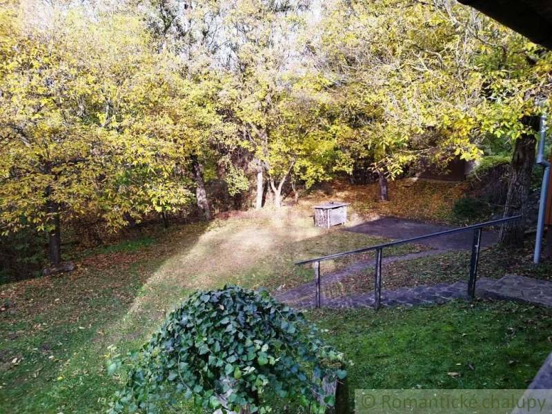 Kert a ház mellett Dudincon, őszi fákkal és gyepes területtel.