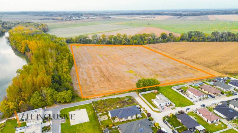 3 - 2025-10-24T092039.233.jpg