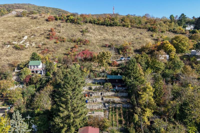 Dombos táj a Pozsony melletti kertekben a Devényi Visszaúton lombhullató fákkal.