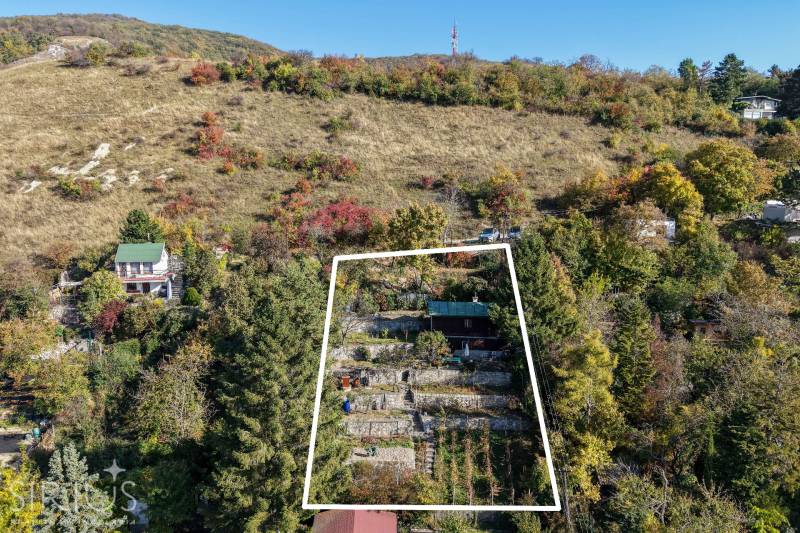 Ősz a kertekben a Visszaúton, Pozsonyban - Dévény alatt, az erdős dombon.