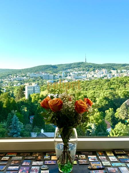 Narancssárga rózsák csokra vázában az ablakpárkányon, kilátással a fás bratislavai tájra.