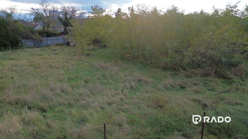 Zöldterületek és fák Gajaryban lakóövezeti telkeken.