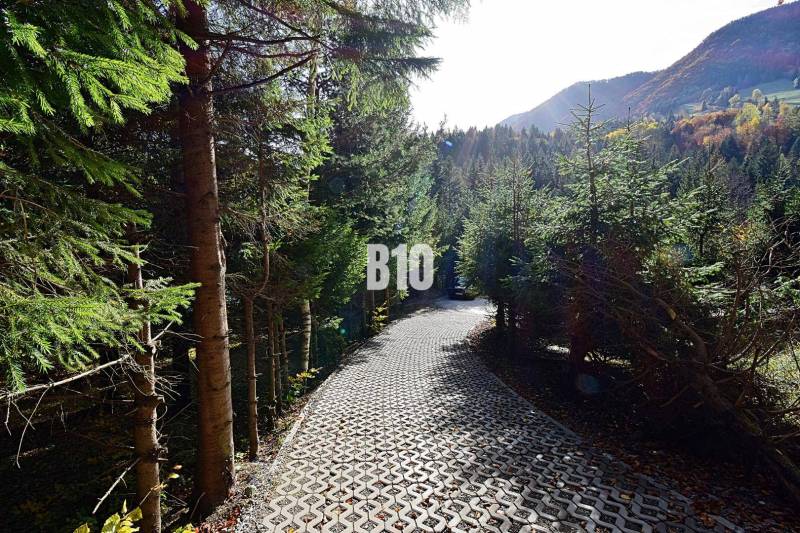 Erdészeti út, amelyet fák vesznek körül Terchován, egy hegyi környezetben lévő házikóhoz vezet.