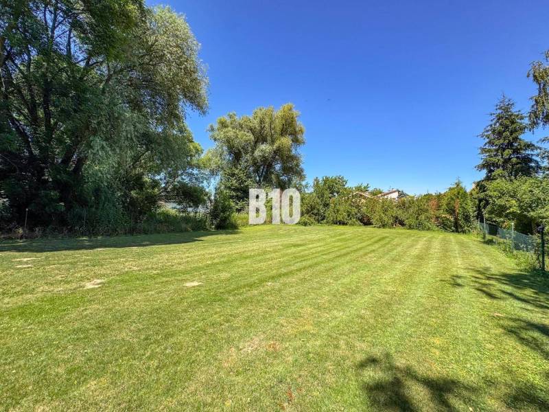 Családi ház melletti füves kert Újszálláson, háttérben magas fákkal.