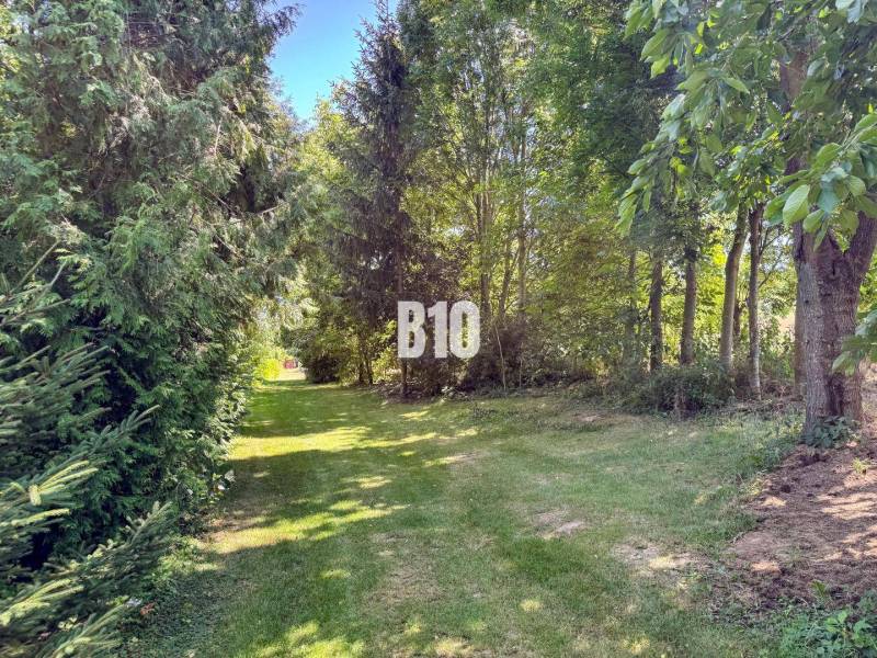 A családi ház kertje Újszádon fákkal körülvéve és füves ösvénnyel.