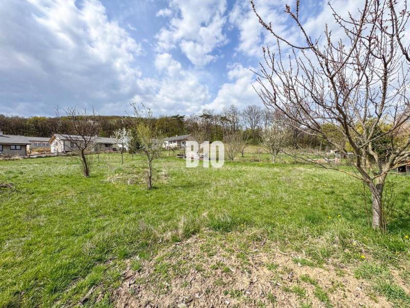 Telkek - lakóhely Jelenecen gyümölcsfákkal és házakkal a háttérben kék ég alatt.