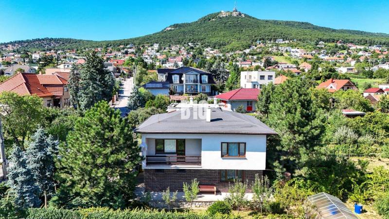 Családi ház a Nyitrai Kő utcában, zölddel és más házakkal körülvéve.