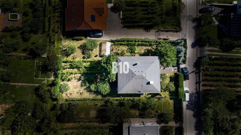 Családi ház a Nyitrai Kő utcában, zölddel és gyümölcsfákkal körülvéve.