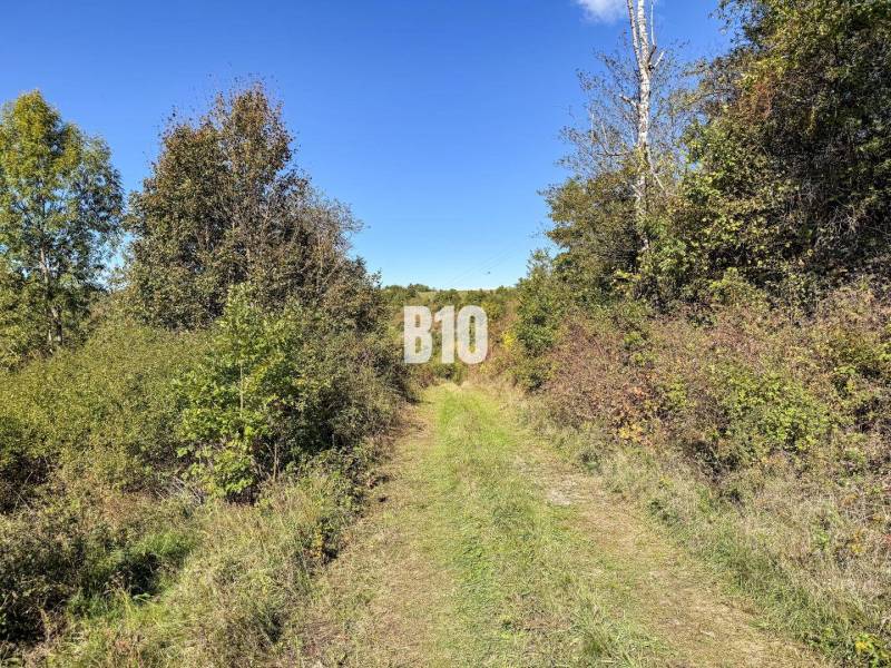 Ház Lackovban, amelyet természet és zöld út vesz körül, amely az erdőhöz vezet.