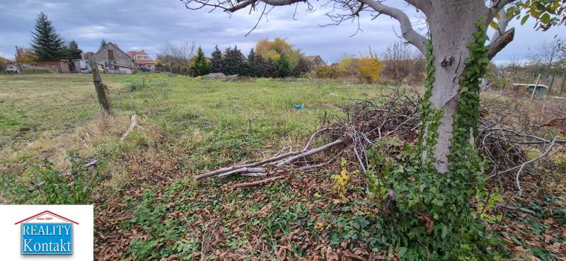 Egy lakhatásra alkalmas telek Tardoskedden, fákkal és zölddel körülvéve.