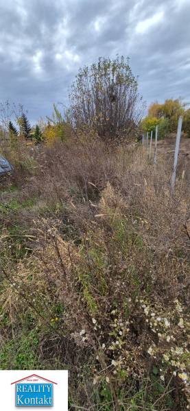 Pozemek Tardoskeddben lakhatásra alkalmas, természetes növényzettel és fákkal.