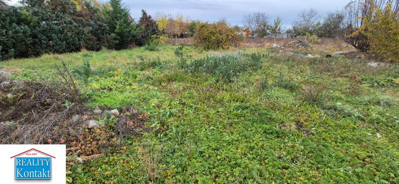 Beépíthető telek Tardoskedden sűrű növényzettel és környező fákkal.