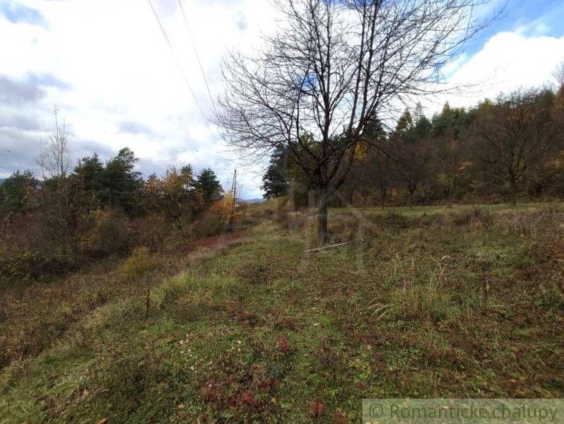 Ősz a természetes kertben Hlboké nad Váhom-ban, változatos fákkal és fűvel.