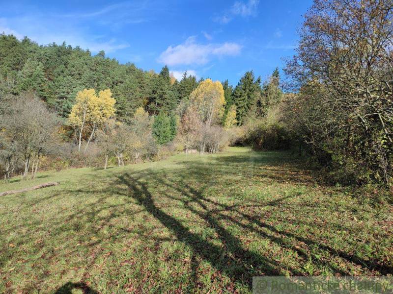 Változatos fák és zöld fű a Mélyvág melletti Kertekben a kék ég alatt.