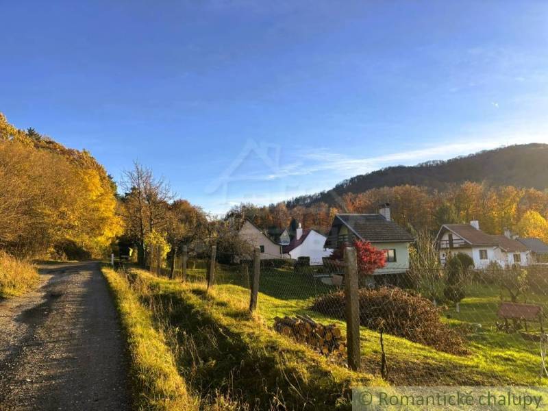 Őszi Sološnicán lévő házak, amelyeket erdők vesznek körül, és napsütötte út.